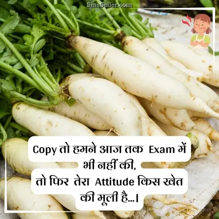 attitude status in hindi 10