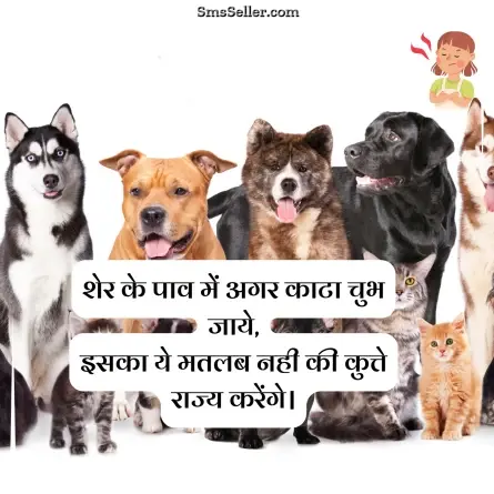attitude status in hindi 16