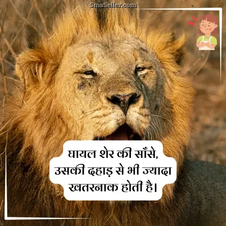 attitude status in hindi 46