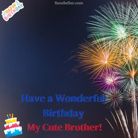 birthday wishes for brother 133