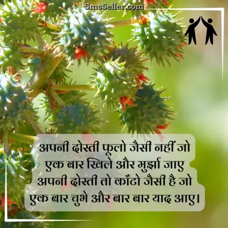 friendship shayari in hindi 155