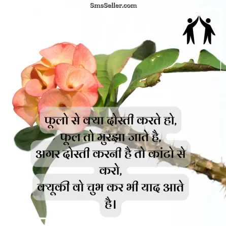 friendship shayari in hindi 202