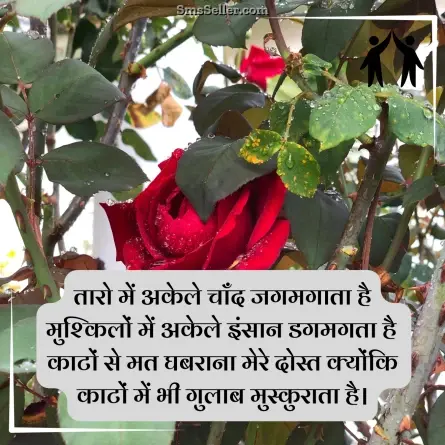 friendship shayari in hindi 72