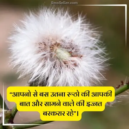 quotes in hindi 13