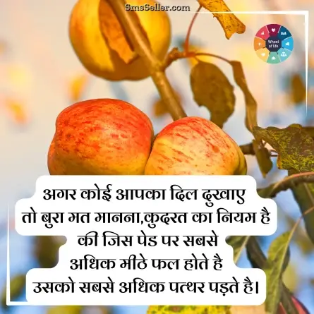quotes in hindi 194