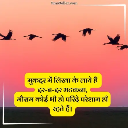 quotes in hindi 224