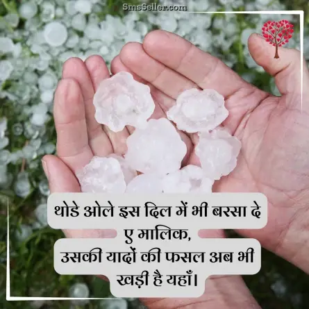 romantic shayari 273