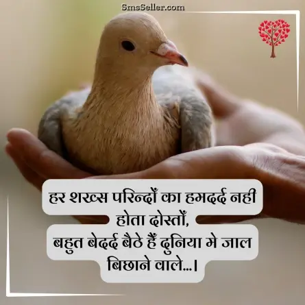 romantic shayari 44