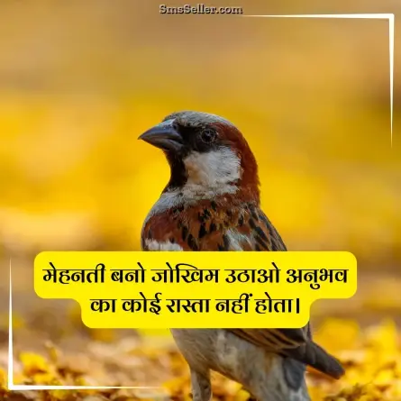 status in hindi 114