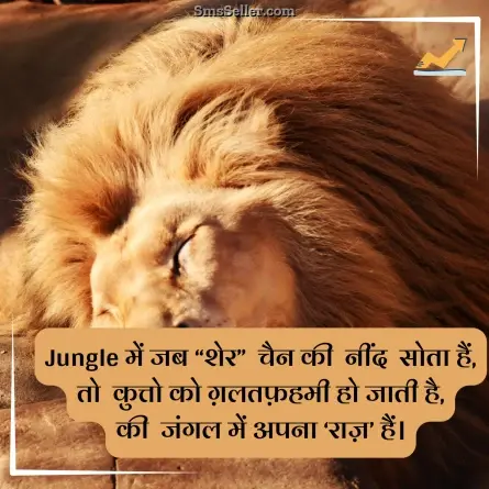 status in hindi 71
