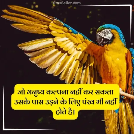 status in hindi 99