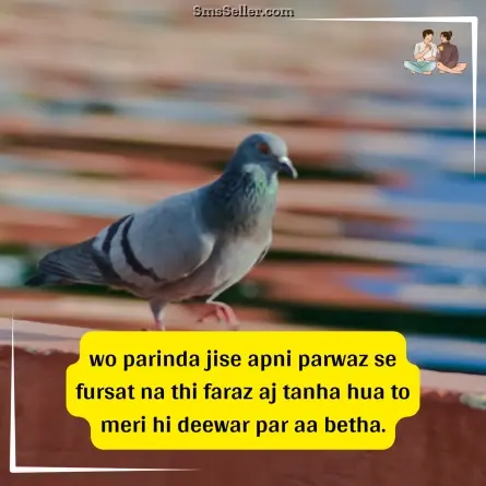 two line shayari in hindi 5